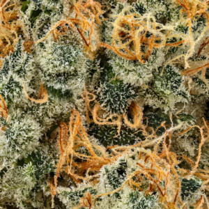 Buds